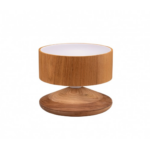 MERL Laminated Dome Lamp